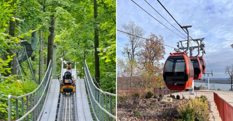 Illinois’ First Alpine Coaster Sends You Racing Through The Bluffs At Your Own Speed