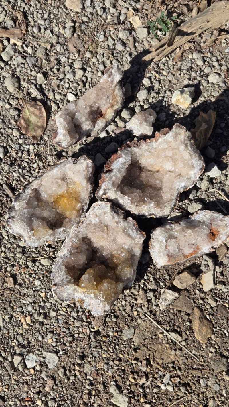 Illinois Ground Full Of Surprises