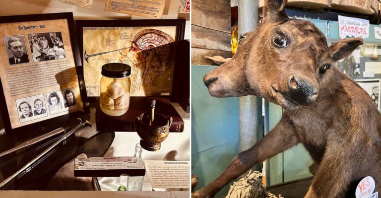 Illinois Has A Fascinating Supernatural Museum Worth Exploring