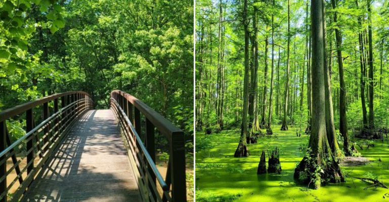 Illinois Has A Riverside Trail That Feels Like A Secret Summer Escape