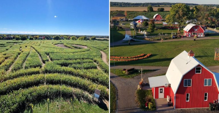 Illinois Is Home To The Largest Corn Maze In The Midwest, And Families Will Love It