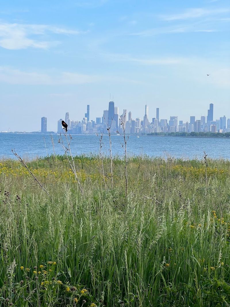 Montrose Point Bird Sanctuary, Chicago