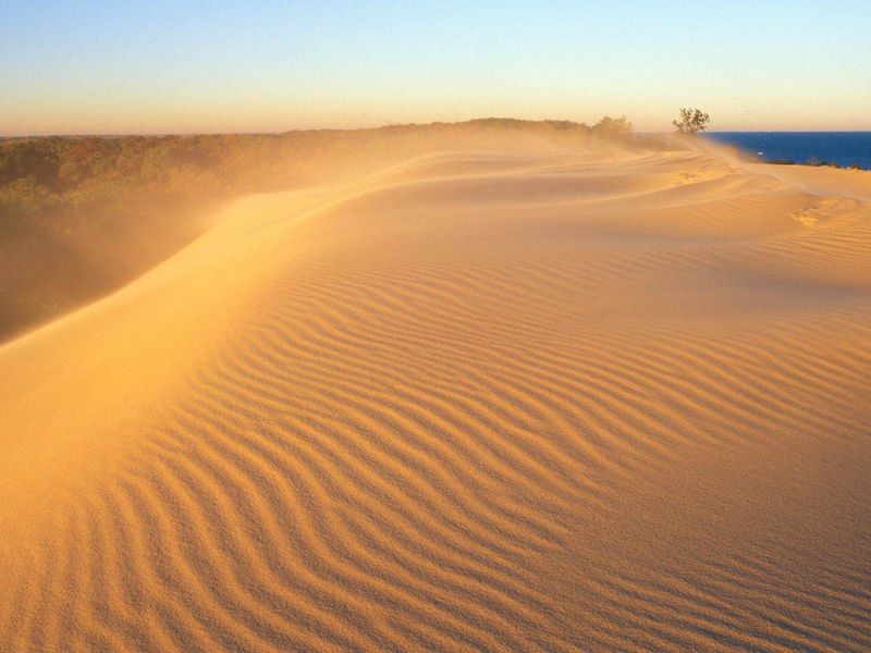 Illinois hides a dune landscape inside its prairie country