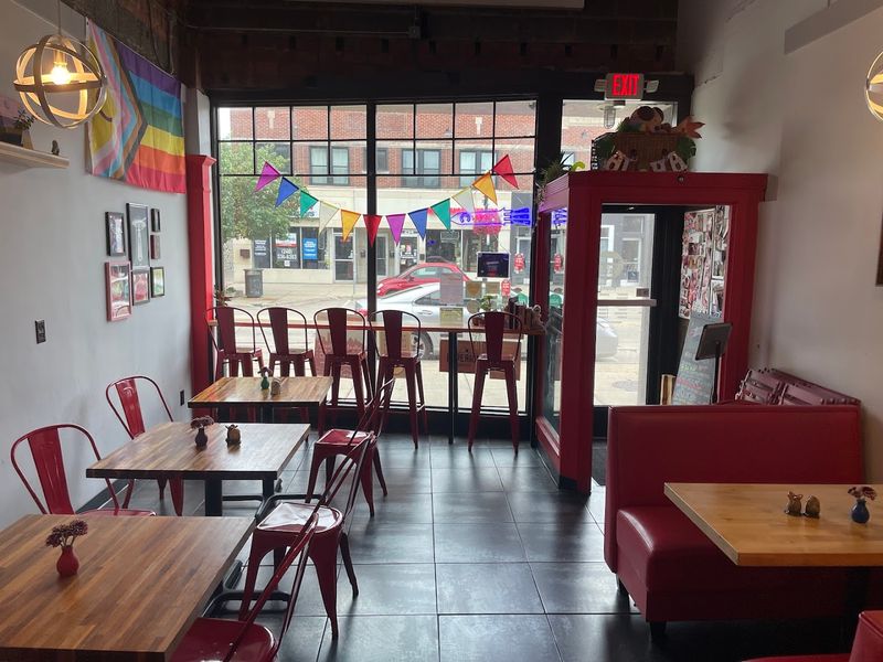 Spacecat V-stro (Ferndale)