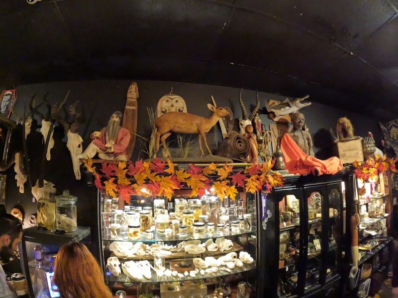 Practical Visitor Tips For Getting The Most Out Of Your Trip