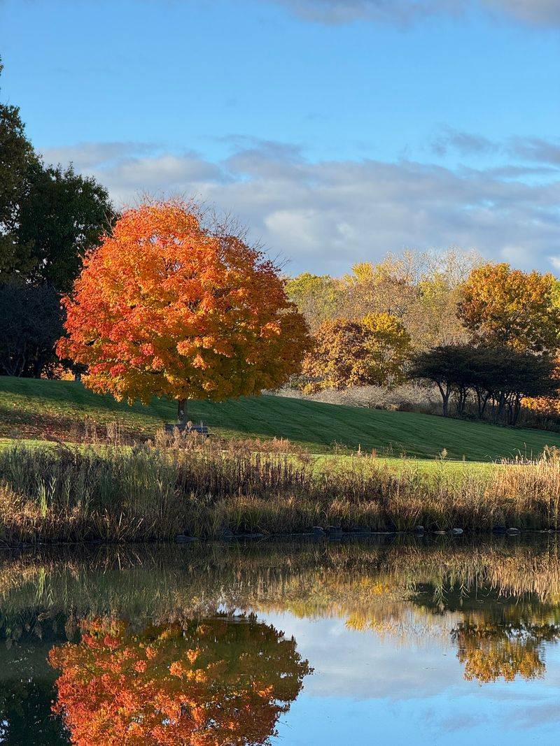 Independence Grove Forest Preserve, Libertyville, IL