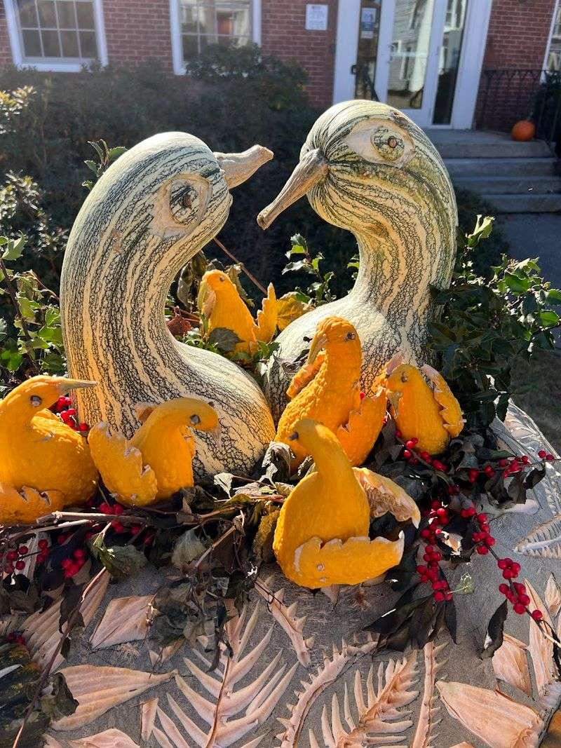 Seasonal Festivals That Bring The Community Together