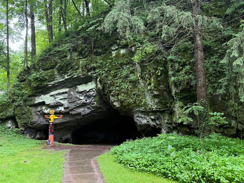 Woodward Cave, Woodward