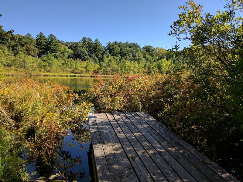 Indian River Pathway Trail