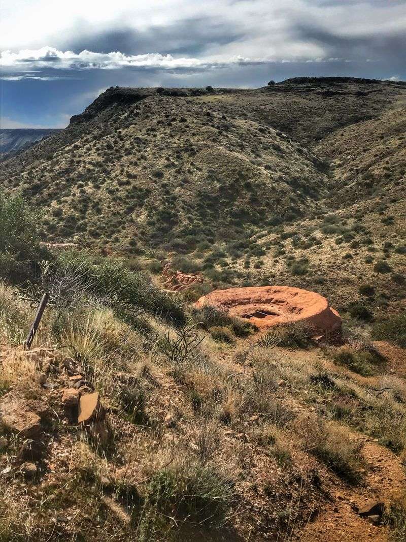 Safety Considerations And What To Bring