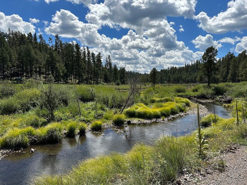 Indian Springs Trail, Apache-Sitgreaves National Forests
