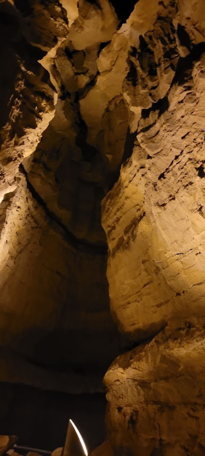 Indiana Bats Also Call This Cave Home