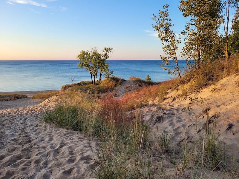 Indiana Dunes State Park Beach