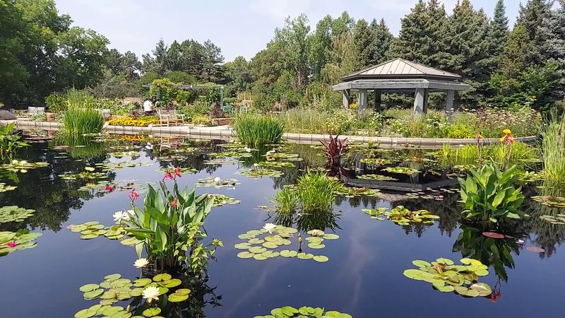 Water Features That Actually Make You Slow Down