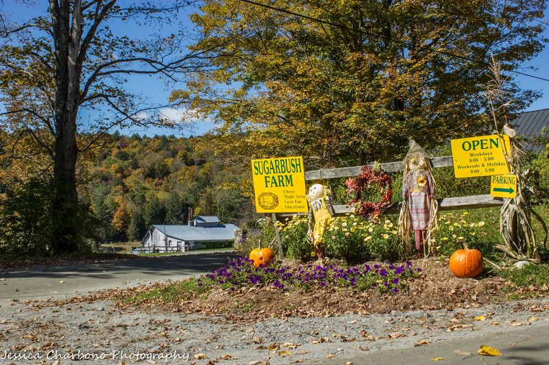 Indulging In Sweet And Savory At Sugarbush Farm Indulging In Sweet And Savory At Sugarbush Farm