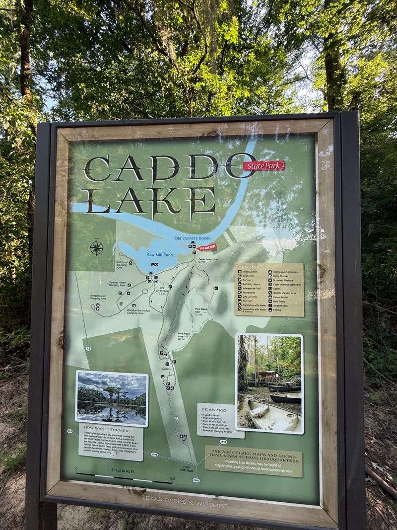 Caddo Lake State Park