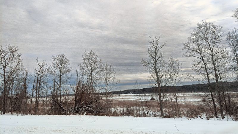 Winter Quiet: Trails, Ice, And Bright Nights