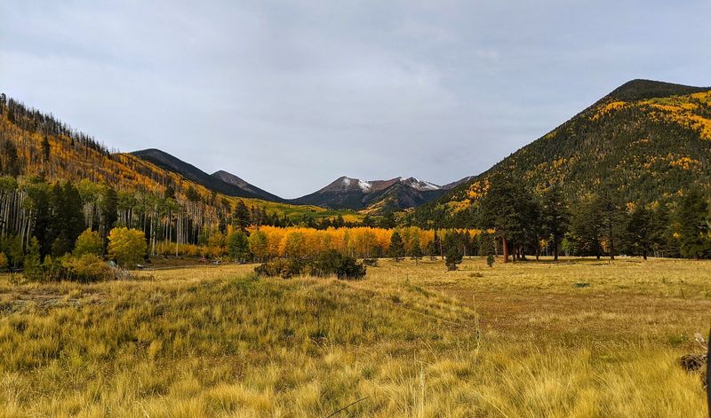 Inner Basin Trailhead, Flagstaff, AZ