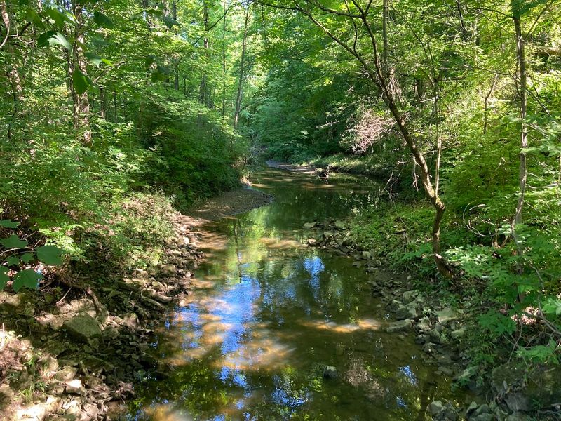 Inniswood Metro Gardens, Westerville
