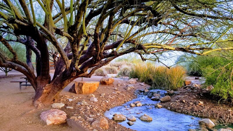 Innovative Water Reuse Creates Habitat