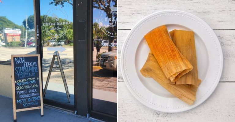 Inside A Florida Tortilla Shop Where Warm Corn Tortillas Are Hand-Pressed Fresh Daily