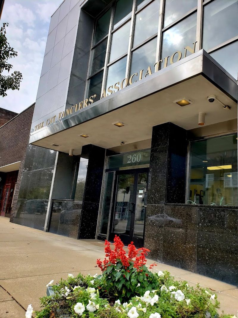 Finding the Museum in Alliance, Ohio