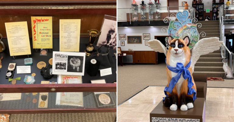 Inside Ohio’s Most Unexpected Museum Dedicated Entirely To Lucky Cats