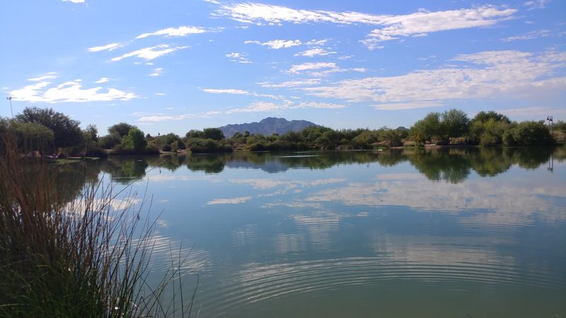 Birdwatching At Its Most Accessible