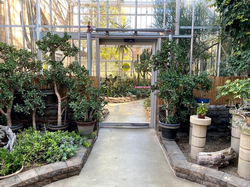 Inside The Free Butterfly House