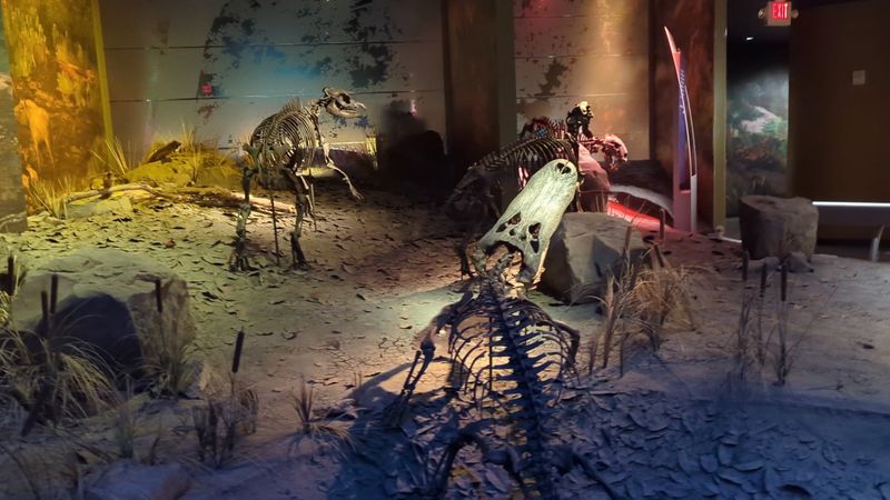 Inside The Museum Where Ancient Tennessee Comes To Life
