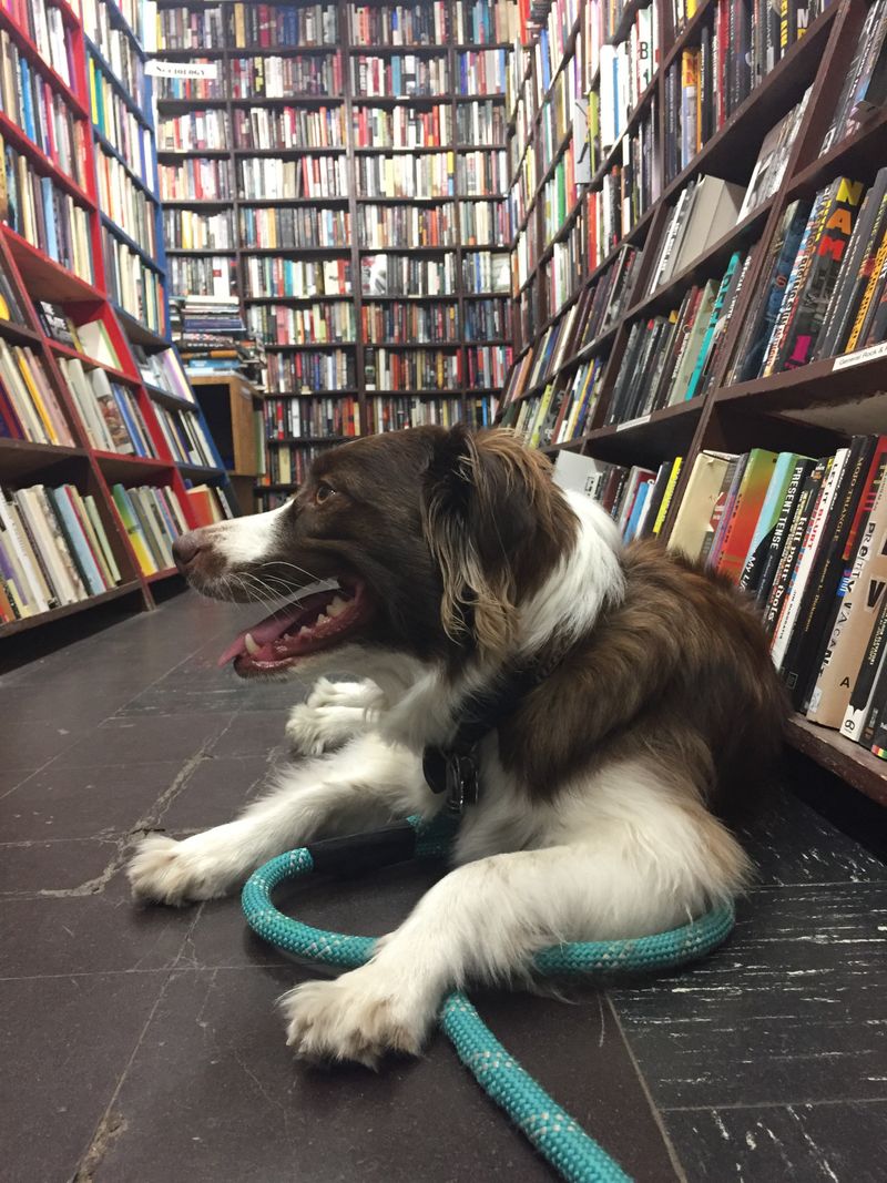 Staff Knowledge That Steers You Well