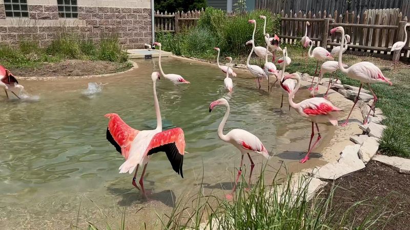 Intimate Wildlife Experience