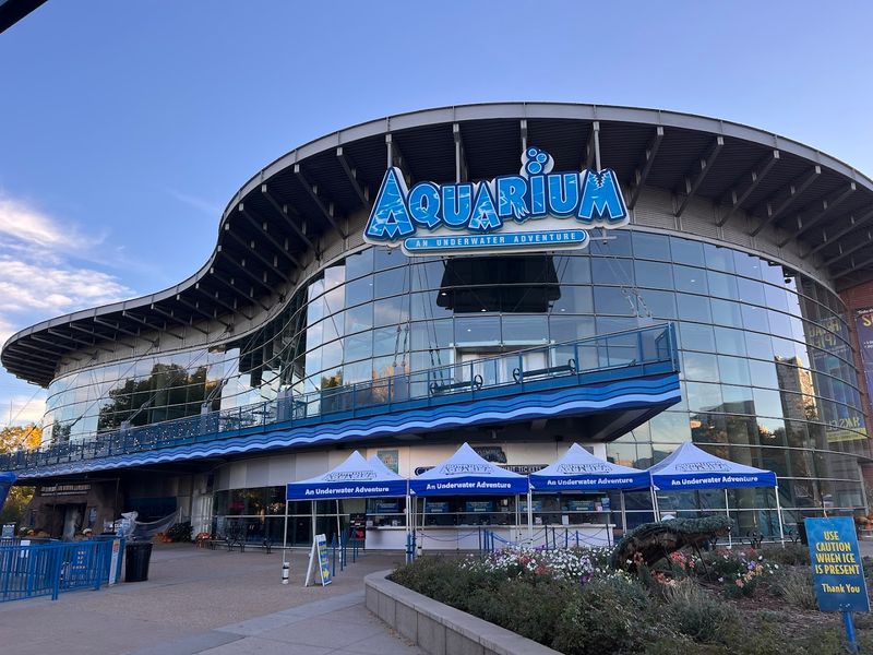 Planning Your Visit: Timing, Parking, And What To Expect