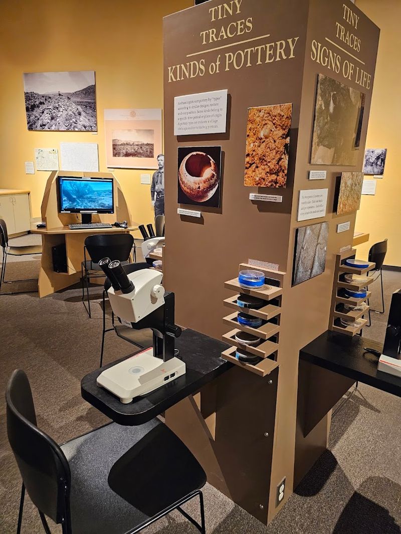 Interactive Exhibits That Keep Kids Genuinely Engaged