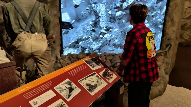 Interactive Exhibits That Keep Kids Hooked Interactive Exhibits That Keep Kids Hooked