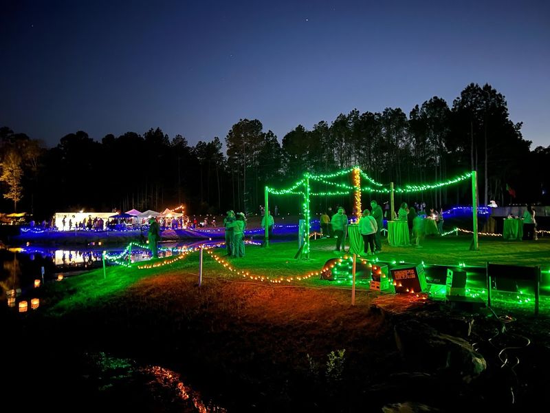 Seasonal Food, Drinks, And Festive Nighttime Atmosphere