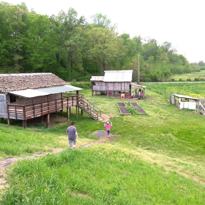 Exploring The Role Of Nonprofit Agricultural Education