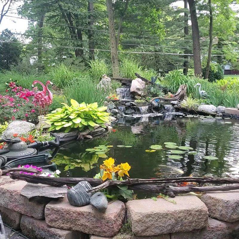 Blooming Fest, West Chicago