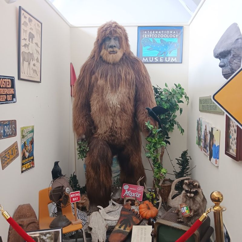 International Cryptozoology Museum, Bangor International Cryptozoology Museum, Bangor