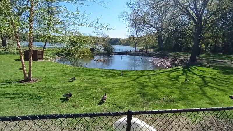 Staff Presence, Volunteers, And Gentle Guidance