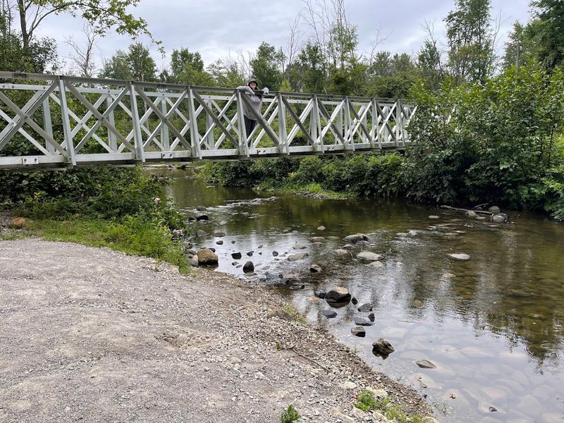 Bridges, Floodplains, And Small Wonders