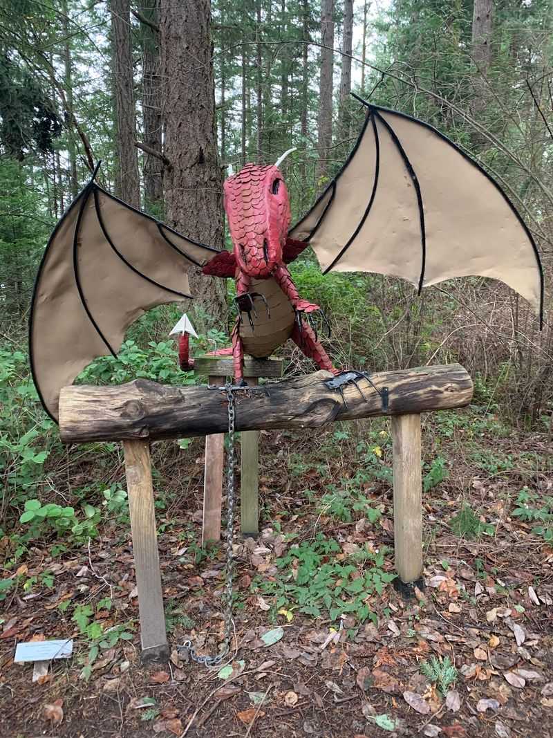 Into the Whimsy Woods, Where Things Get Delightfully Odd Into the Whimsy Woods, Where Things Get Delightfully Odd