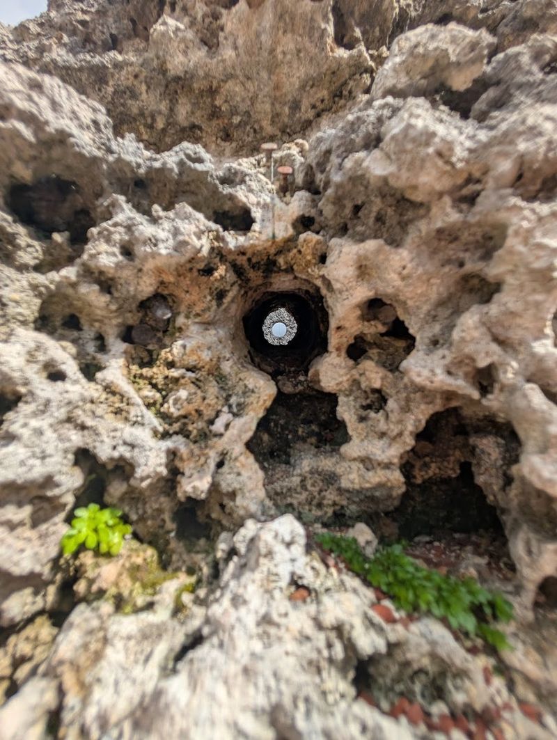 The Polaris Telescope Aligned To The North Star