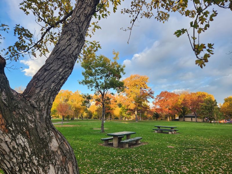 Runnin' of the Green