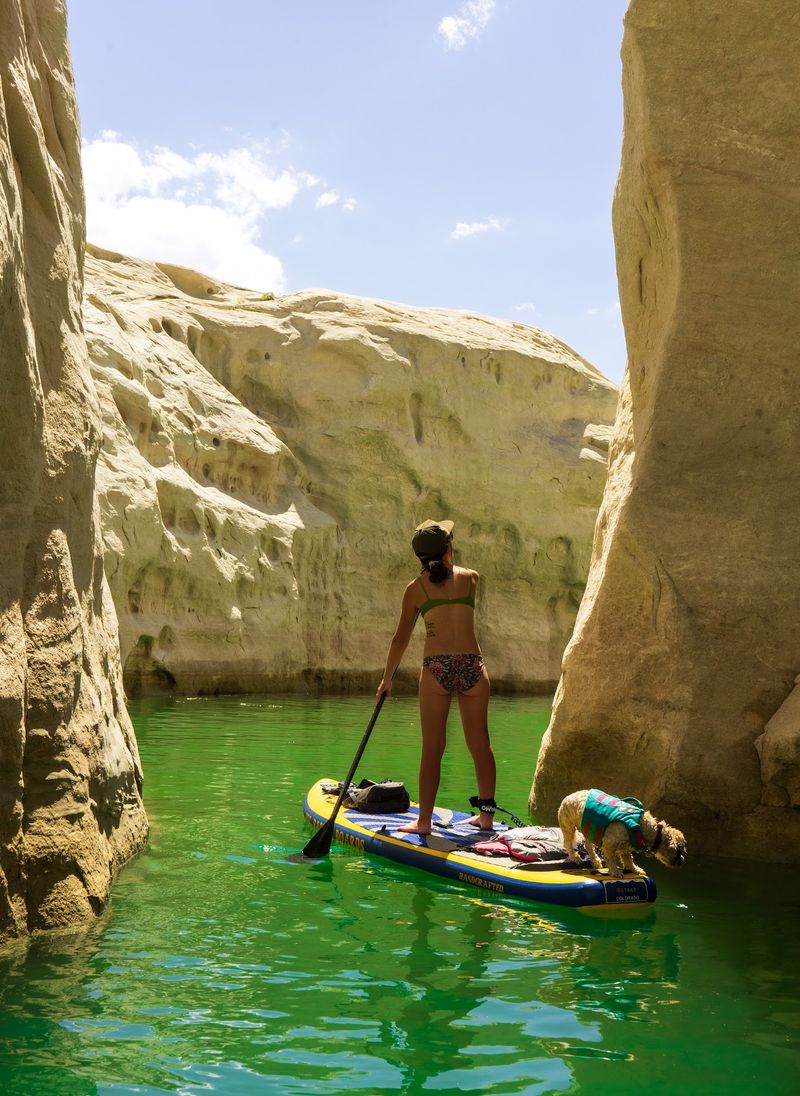 Is This Arizona Paddle Worth It?