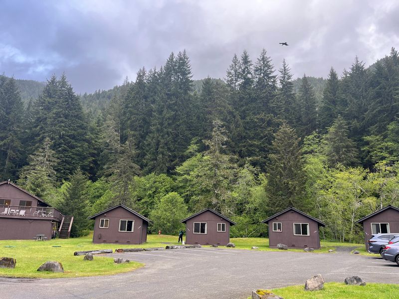 Is This Forest Soak Worth the Trip?