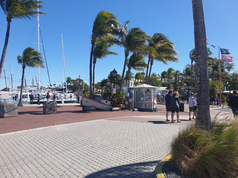 Islamorada And Its Fishing Fame Islamorada And Its Fishing Fame