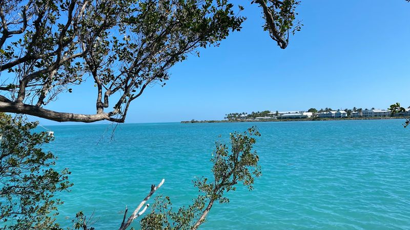 Islamorada Offers Some Of The Best Pull-Off Spots Along The Route