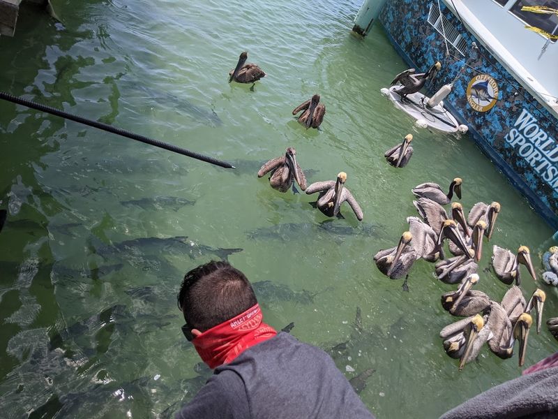 Islamorada: The Sport Fishing Capital of the World