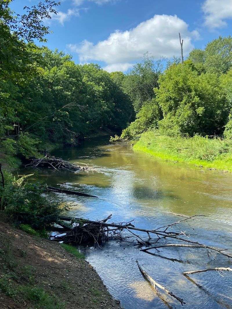 Michigan Talent District Walkabout